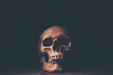 Creative picture art in Halloween conceptの写真素材