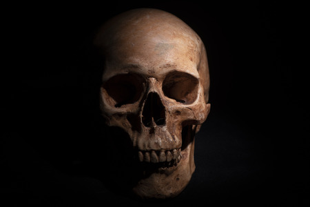 Halloween object concept, on black backgroundの写真素材