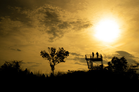 alone tree with sunset, twilight time