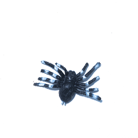 Spider fakes for use in Halloween.の写真素材