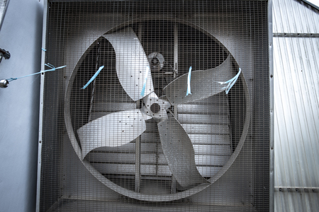 Technology for growing vegetables in greenhousesの写真素材