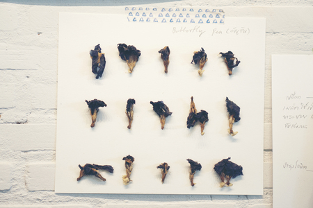 Dried flowers used in restaurant decorationの写真素材