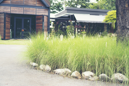 plant in garden, cafe shopの写真素材