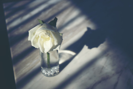 part of vintage coffee cafe, coffee shopの写真素材