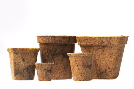 Coir plant pots isolated on white. Environmentally friendly spring gardening. Peat substituteの写真素材