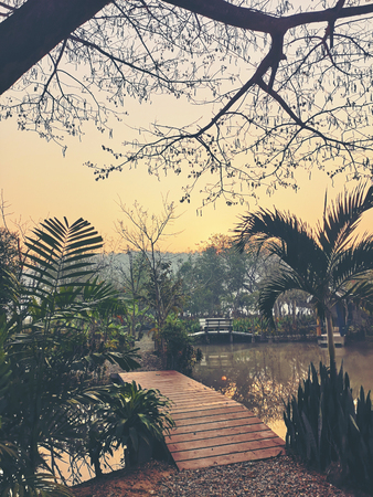 bamboo bridge over the lake at sunsetの写真素材