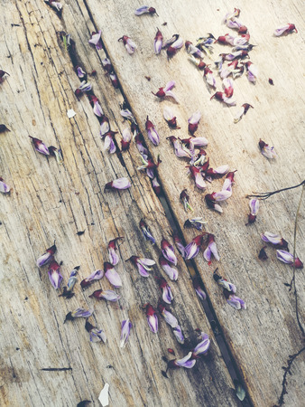 Old wood texture background, vintage filter imageの写真素材