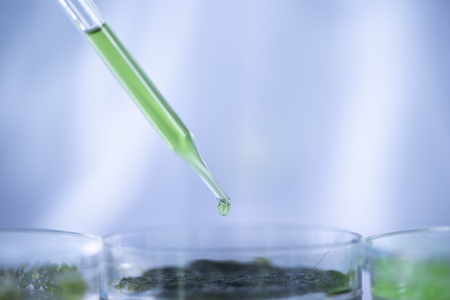 Photobioreactor in lab algae fuel biofuel industry, Algae fuel, Algae research in industrial laboratoriesの写真素材