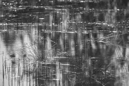 tropical lake, nature sceneの写真素材