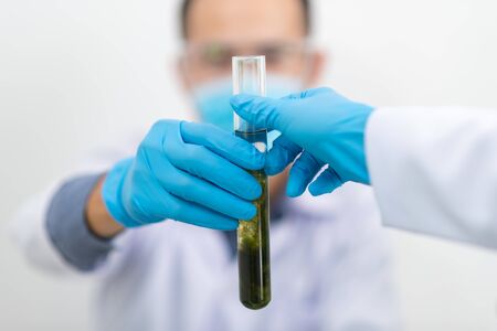 the scientist,doctor, make alternative herb medicine with herbal the organic natural in the...