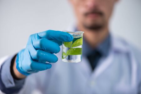 The scientist test the natural product extract, oil and biofuel solution, in the chemistry laboratory.の写真素材