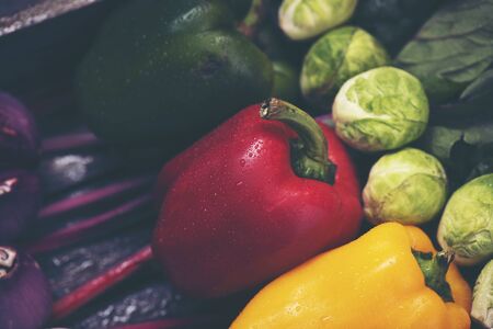 Various kinds of colorful vegetables Arranged to look appetizingの写真素材