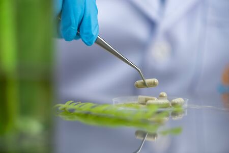 Supplementary capsules from natural extractsの写真素材