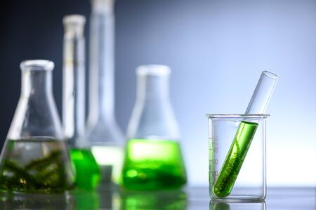 algae research in laboratories, biotechnology science conceptの写真素材