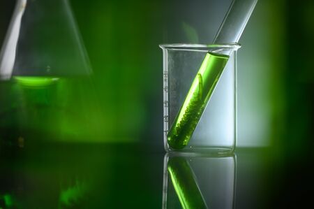 algae biofuel tube in biotech laboratory, Photobioreactor in lab algae fuel biofuel industryの写真素材