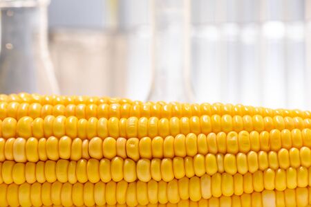 the natural product extract, oil and biofuel solution, in the chemistry laboratoryの写真素材