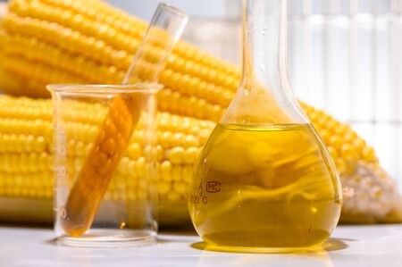 Biofuel or Corn Syrup, gasoline, energy, environmentalistの写真素材