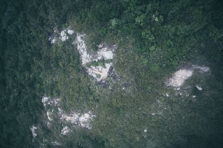 tropical rain forest with fog, view from sky