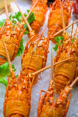 Expensive food, fresh lobster on the iceの写真素材