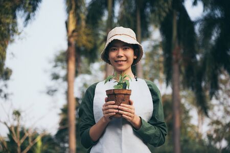 Agriculture. Growing plants. Plant seedling. Hand nurturing young baby plantsの写真素材