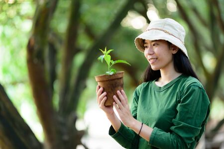 Agriculture. Growing plants. Plant seedling. Hand nurturing young baby plantsの写真素材