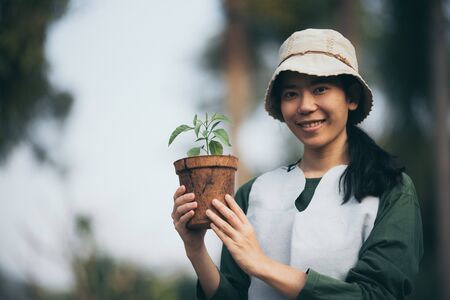 Agriculture. Growing plants. Plant seedling. Hand nurturing young baby plantsの写真素材