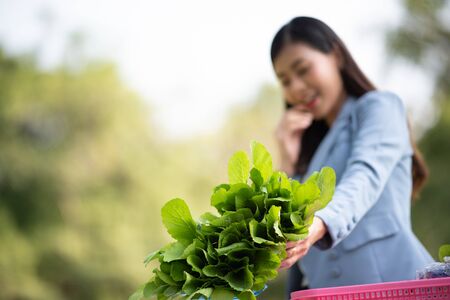 Business women and vegetable growing businesses