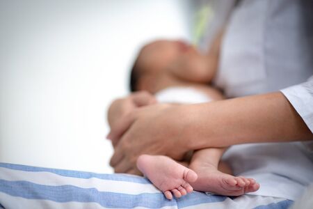 Asian parent hands holding newborn baby fingers, Close up mother's hand holding their new born baby. Love family healthcare and medicalの写真素材