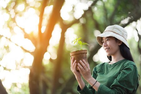 Hands holding a young plant. Planting a young seedling. Working in the vegetable garden. Agriculture. Farmingの写真素材