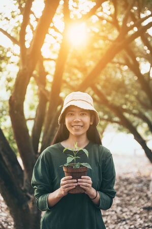 Hands holding a young plant. Planting a young seedling. Working in the vegetable garden. Agriculture. Farmingの写真素材