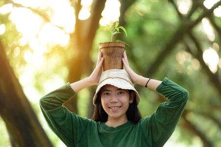 Hands holding a young plant. Planting a young seedling. Working in the vegetable garden. Agriculture. Farmingの写真素材