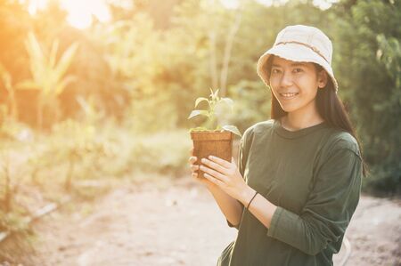 Hands holding a young plant. Planting a young seedling. Working in the vegetable garden. Agriculture. Farmingの写真素材
