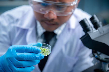 Health care researchers person working for analysis experiment test in medicine science technology research in laboratoryの写真素材