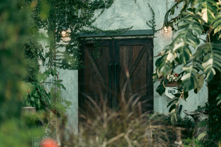 Rustic Tropical Garden with Monstera Foliage: Sunlight Filtering Through Greenery and Leaves by a Vintage Window, Creating a Peaceful Natural Environment, Perfect for Outdoor Livingの写真素材