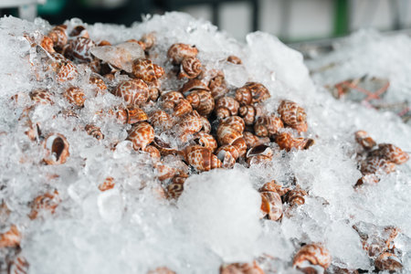 wide selection of fresh seafood on ice including oysters, crabs, snails, and shrimp, perfectly preserved for premium cooking, offering rich flavors and variety at a bustling seafood market stallの写真素材