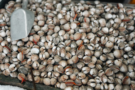 wide selection of fresh seafood on ice including oysters, crabs, snails, and shrimp, perfectly preserved for premium cooking, offering rich flavors and variety at a bustling seafood market stallの写真素材