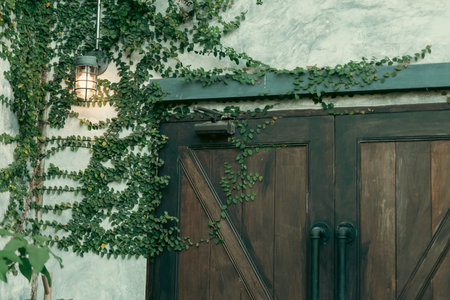 Rustic Tropical Garden with Monstera Foliage: Sunlight Filtering Through Greenery and Leaves by a Vintage Window, Creating a Peaceful Natural Environment, Perfect for Outdoor Livingの写真素材