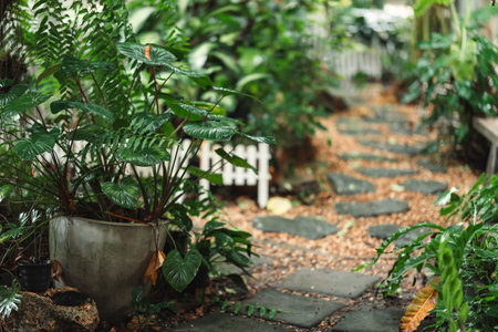 Tranquil botanical pathway adorned with lush tropical foliage, vibrant green leaves, and a peaceful stone walkway leading through a serene garden with soft sunlight and natural texturesの写真素材