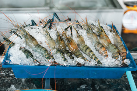 Premium river prawns on ice, ready for grilling to perfection a classic Thai seafood dish served at restaurants, known for its smoky aroma, rich flavor, and tender juicy textureの写真素材