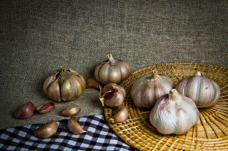 Fresh Garlic with Still lifeの写真素材