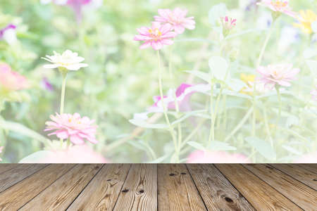 Wood plank on beautiful flowers background.zinnia flower field blooming.の写真素材