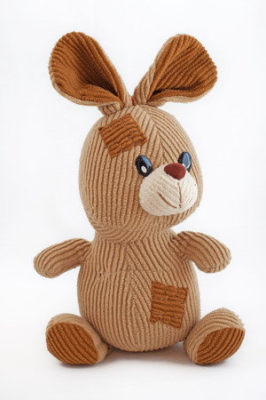 Plush rabbitの写真素材