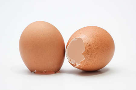 Egg shell isolated on a white background