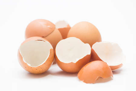 Egg shells with white backgroundの写真素材