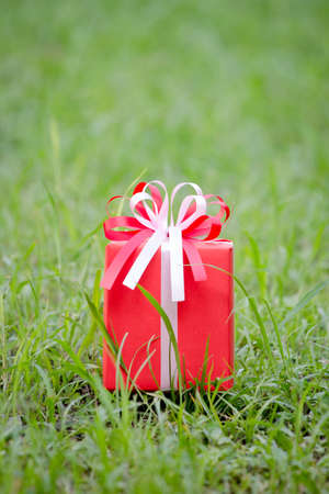 Red gift box on the grass fieldの写真素材