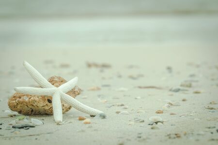 Star fish on the beach with vintage filter styleの写真素材