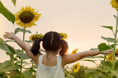 Vintage of little beautiful Asian girl on blooming sunflower field in summerの写真素材