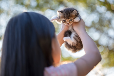 Little Asian girl holding Lovely persian kitten with sunshine in the parkの写真素材