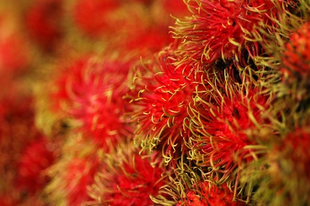 Thaifruit rambutanの写真素材