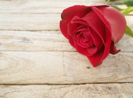 red rose on wooden table for background, valentines day backgroundの写真素材